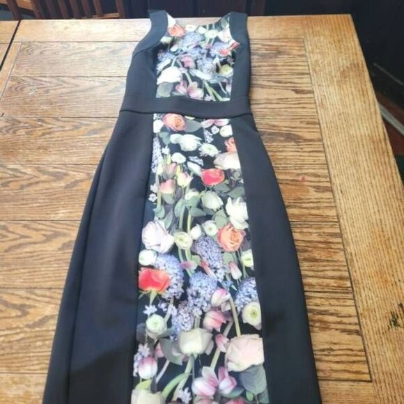 Ted Baker Kensington Dress  Size 2 (US 6) - Picture 2 of 5